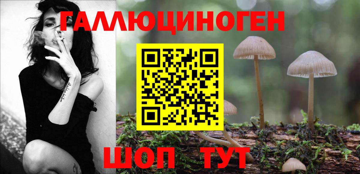 Псилоцибиновые грибы прущие грибы Благовещенск
